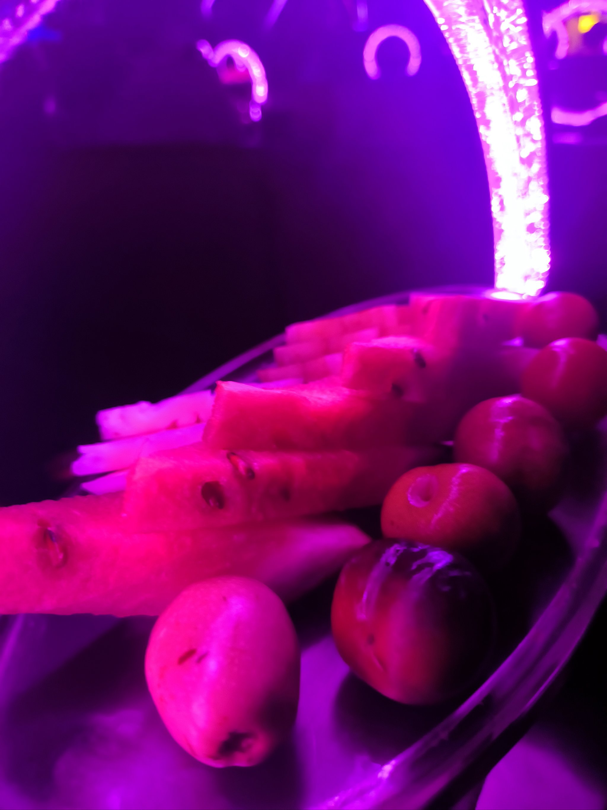 合肥商务ktv中低端区别-肥东县ktv预订